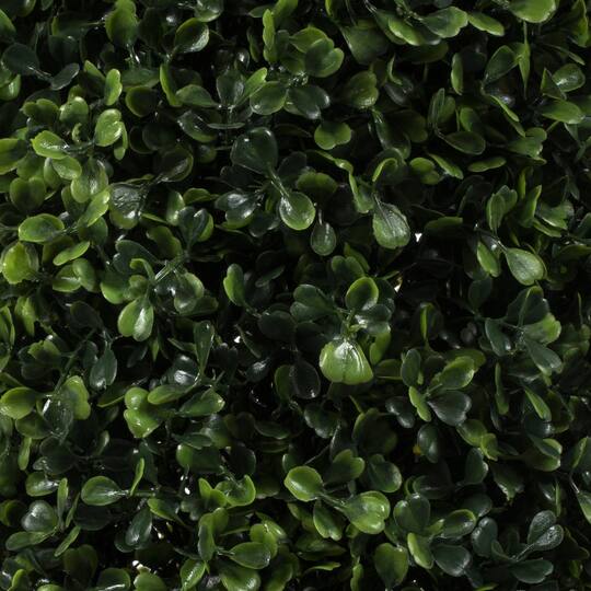 6ft. Potted Boxwood Cone Tree